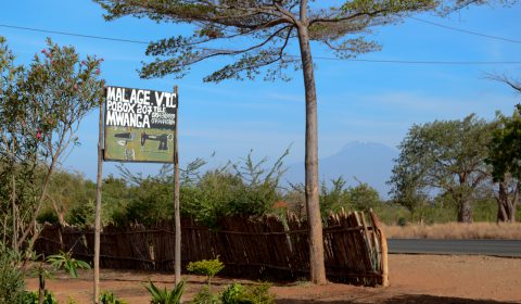View of the Kilimanjaro
